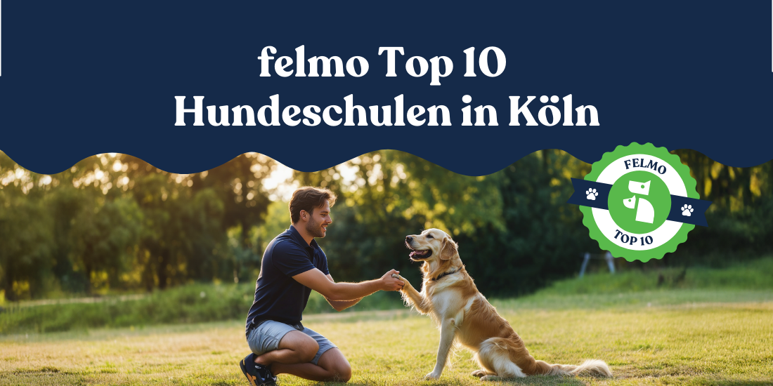 Hundeschule Köln