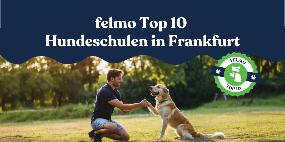 Hundeschule Frankfurt