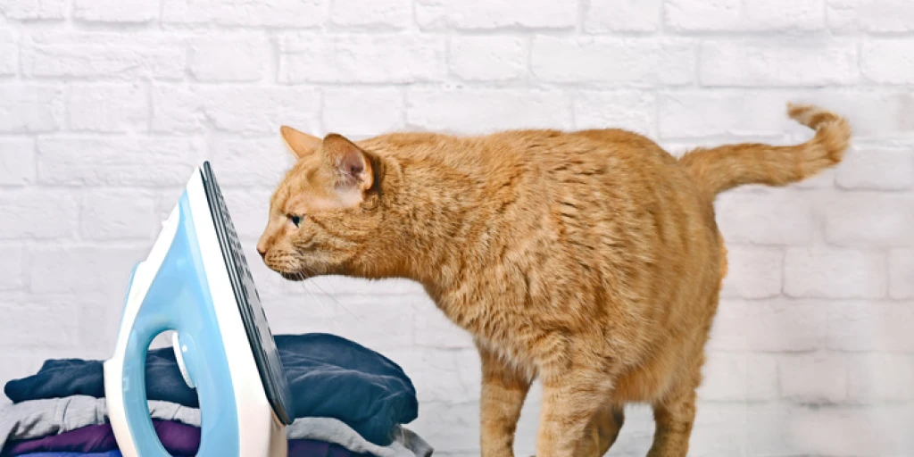 Gefährliche Elektrogeräte sicher verstauen