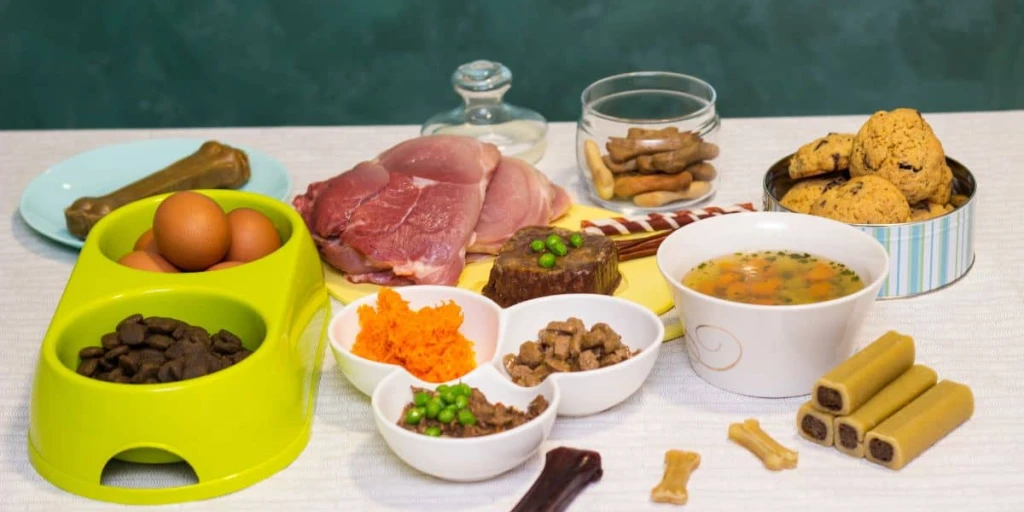 Ein Tisch gedeckt mit einer bunten varianten Vielfalt für den Hund. Eier Hundeknochen, Leckerlies, einer Suppe, geschnittenen Möhren und Schnitzelfleisch.