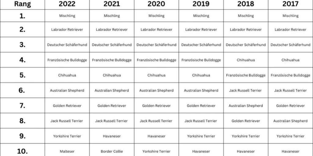 Liste der beliebtesten Hunderassen von 2017 bis 2022