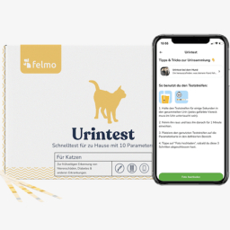 felmo-urintest-fuer-katzen-1